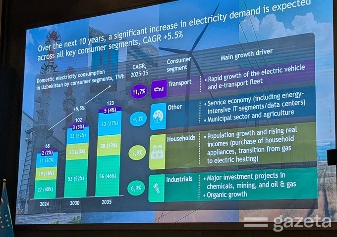 بي سي جي، مجموعة بوسطن الاستشارية، إيغور أليكسييف، كهرباء، طاقة